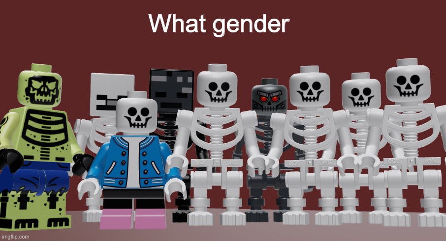 Lego Skeleton Roast meme | What gender | image tagged in lego skeleton roast meme | made w/ Imgflip meme maker