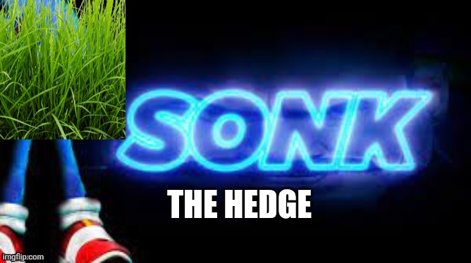 sonk | THE HEDGE | image tagged in sonk | made w/ Imgflip meme maker