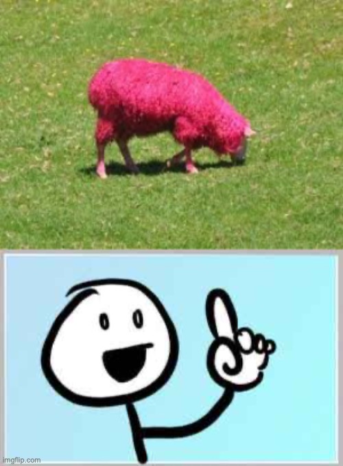 Its real! | image tagged in ah ha wait no,funny,fun,memes,sheep,minecraft | made w/ Imgflip meme maker