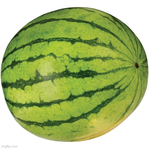 watermelon | made w/ Imgflip meme maker