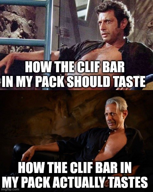 Aged Well Jeff Goldblum | HOW THE CLIF BAR IN MY PACK SHOULD TASTE; HOW THE CLIF BAR IN MY PACK ACTUALLY TASTES | image tagged in jeff goldblum,old,jurassic park,jurassic world | made w/ Imgflip meme maker