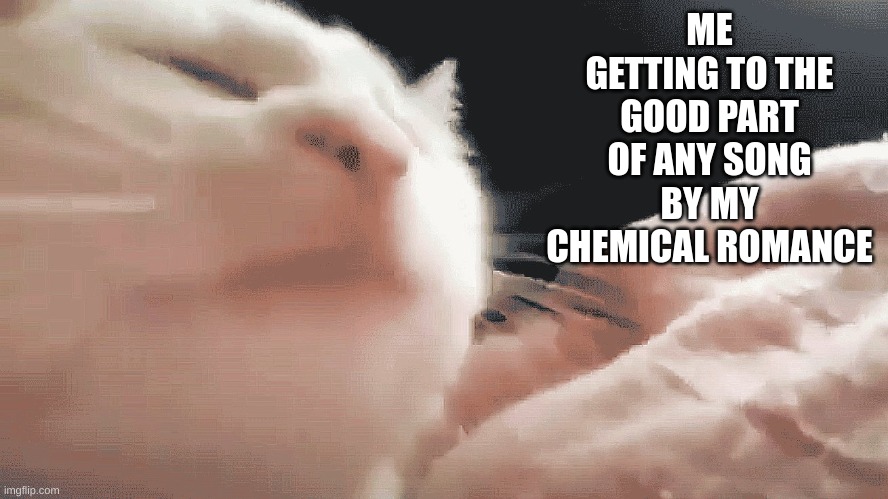 ME GETTING TO THE GOOD PART OF ANY SONG BY MY CHEMICAL ROMANCE | image tagged in cat,my chemical romance,music,meme,funny,relatable | made w/ Imgflip meme maker
