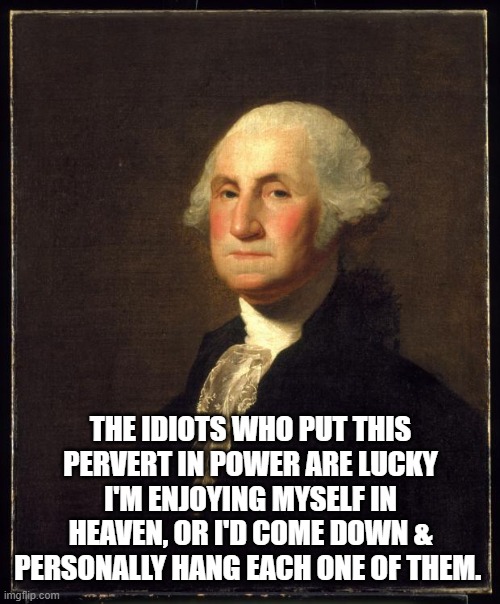 George Washington | THE IDIOTS WHO PUT THIS PERVERT IN POWER ARE LUCKY I'M ENJOYING MYSELF IN HEAVEN, OR I'D COME DOWN & PERSONALLY HANG EACH ONE OF THEM. | image tagged in george washington | made w/ Imgflip meme maker