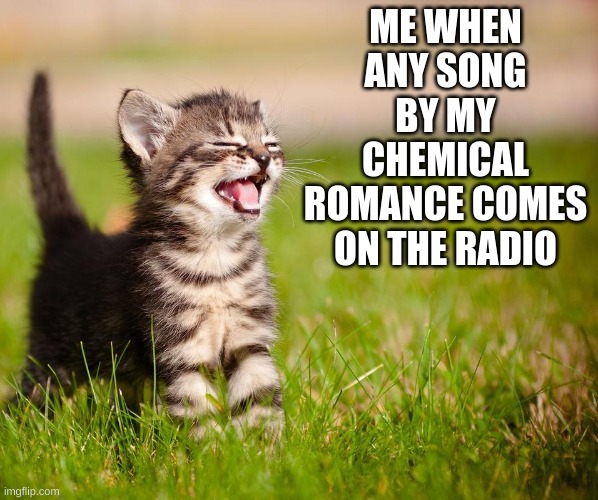 MCR cat | ME WHEN ANY SONG BY MY CHEMICAL ROMANCE COMES ON THE RADIO | image tagged in cat,my chemical romance,relatable,funny memes,music,singing | made w/ Imgflip meme maker