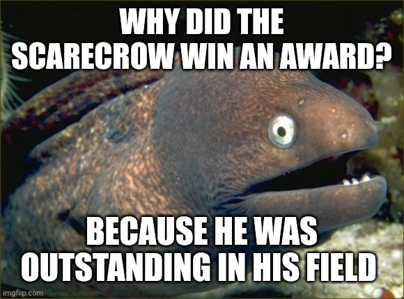 Bad Joke Eel | WHY DID THE SCARECROW WIN AN AWARD? BECAUSE HE WAS OUTSTANDING IN HIS FIELD | image tagged in memes,bad joke eel | made w/ Imgflip meme maker