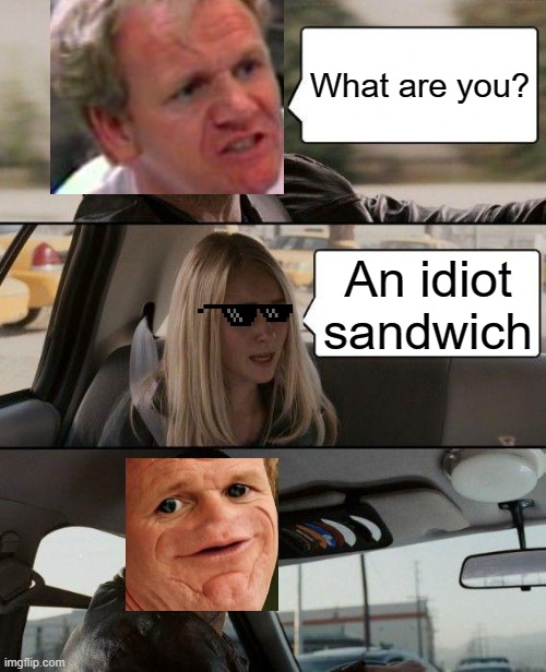 an idiot sandwich (laugh at this kid for failing to be funny) | What are you? An idiot sandwich | image tagged in memes,the rock driving,unfunny | made w/ Imgflip meme maker