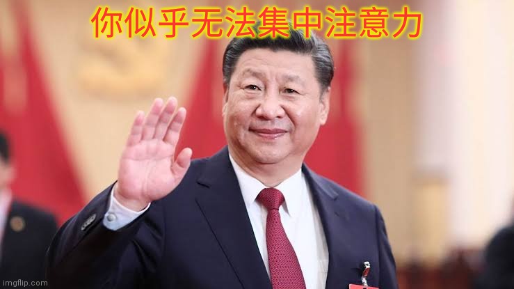 Xi Jinping | 你似乎无法集中注意力 | image tagged in xi jinping | made w/ Imgflip meme maker