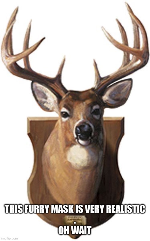 Deer Head On Wall | THIS FURRY MASK IS VERY REALISTIC
.
OH WAIT | image tagged in deer head on wall | made w/ Imgflip meme maker