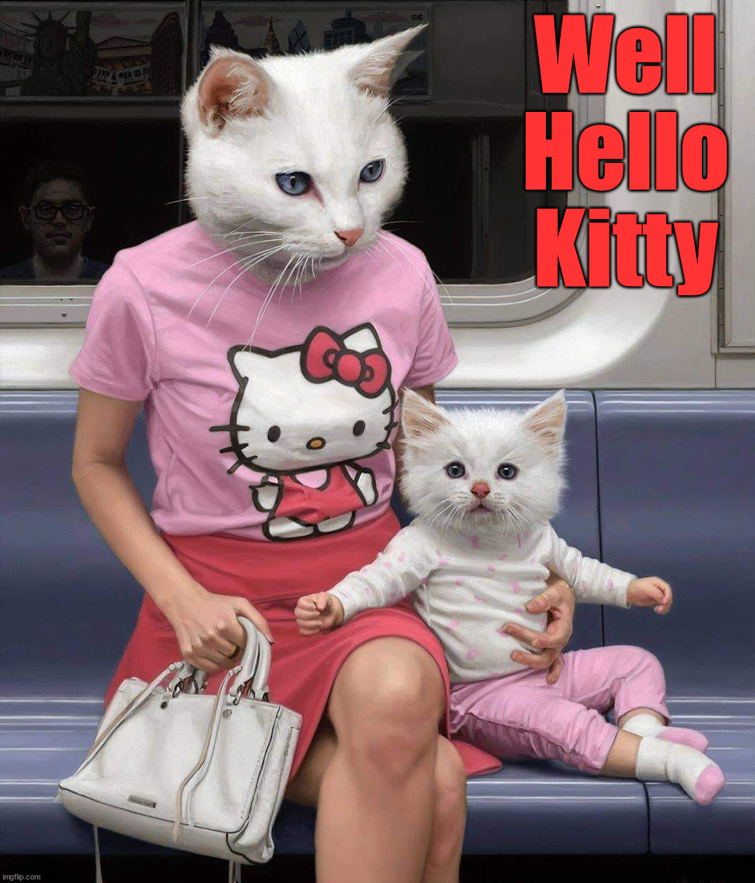 Well Hello Kitty | image tagged in cats | made w/ Imgflip meme maker