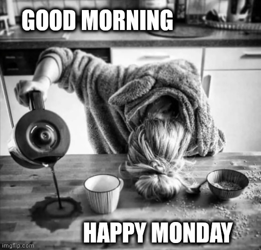  GOOD MORNING; HAPPY MONDAY | image tagged in happy monday | made w/ Imgflip meme maker