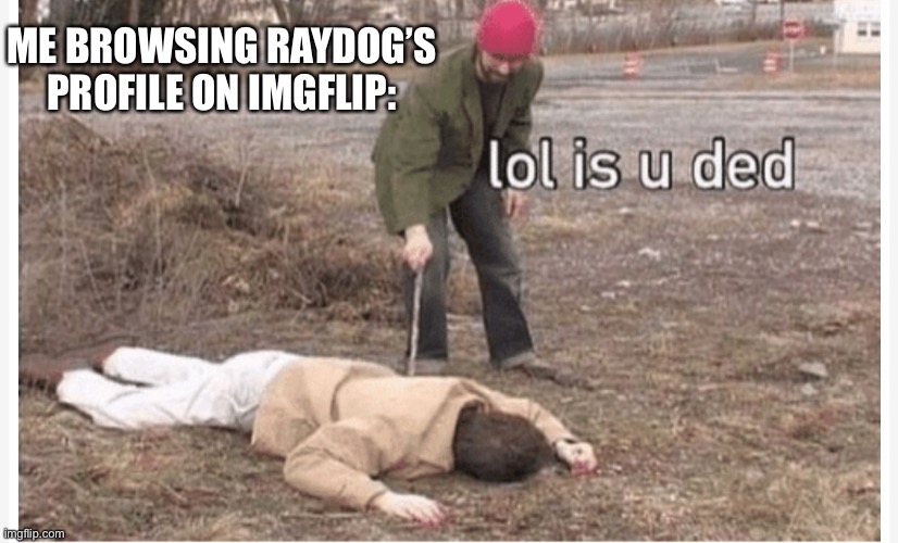 Why did he leave he like ghosted everyone. | ME BROWSING RAYDOG’S PROFILE ON IMGFLIP: | image tagged in lol is u ded | made w/ Imgflip meme maker