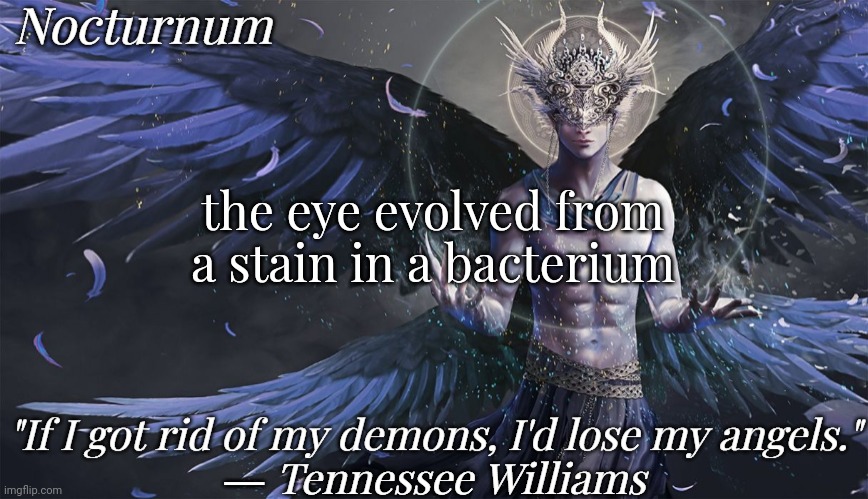 Nocturnum's angel temp | the eye evolved from a stain in a bacterium | image tagged in nocturnum's angel temp | made w/ Imgflip meme maker