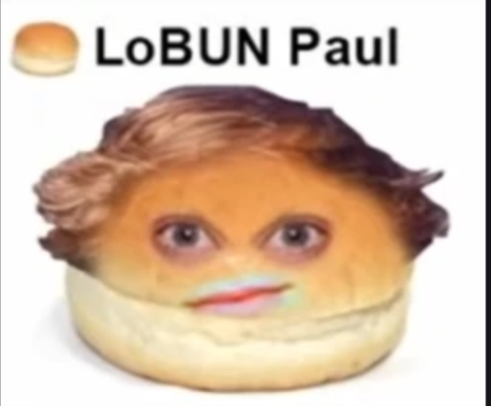 High Quality LoBUN Paul Blank Meme Template