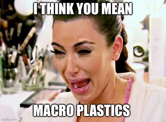 Kim Kardashian | I THINK YOU MEAN MACRO PLASTICS | image tagged in kim kardashian | made w/ Imgflip meme maker