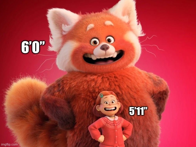 6’0”; 5’11” | image tagged in disney,turning red,red panda,funny,memes | made w/ Imgflip meme maker