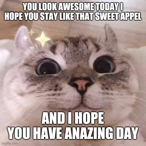 Wholesome | YOU LOOK AWESOME TODAY I HOPE YOU STAY LIKE THAT SWEET APPEL; AND I HOPE YOU HAVE ANAZING DAY | image tagged in happy cat | made w/ Imgflip meme maker