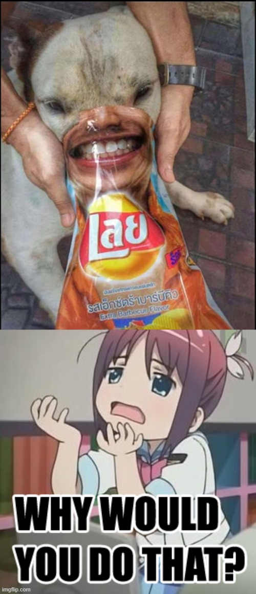 image tagged in why would you do that | made w/ Imgflip meme maker