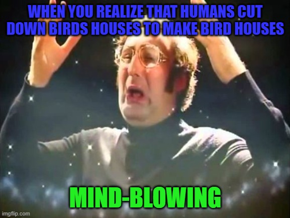 Mind Blown | WHEN YOU REALIZE THAT HUMANS CUT DOWN BIRDS HOUSES TO MAKE BIRD HOUSES; MIND-BLOWING | image tagged in mind blown | made w/ Imgflip meme maker