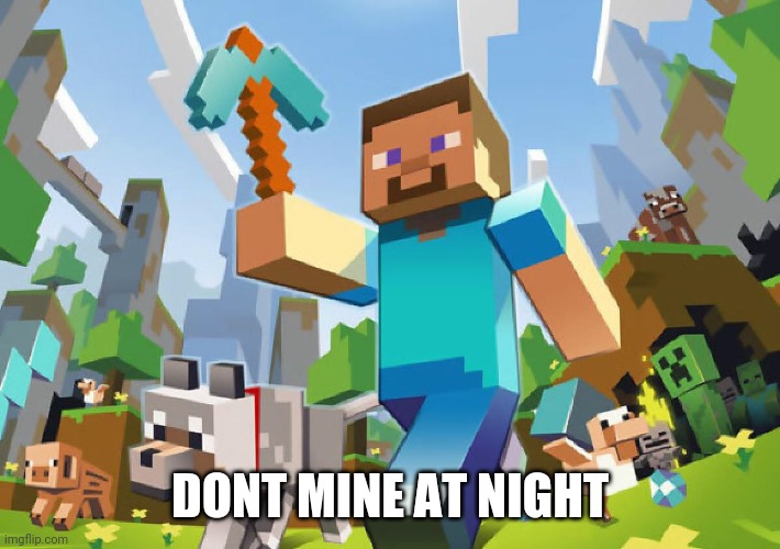 Minecraft  | DONT MINE AT NIGHT | image tagged in minecraft | made w/ Imgflip meme maker