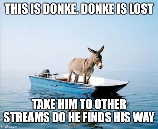 Donke | THIS IS DONKE. DONKE IS LOST; TAKE HIM TO OTHER STREAMS DO HE FINDS HIS WAY | image tagged in donkey on a boat,donke,lost | made w/ Imgflip meme maker