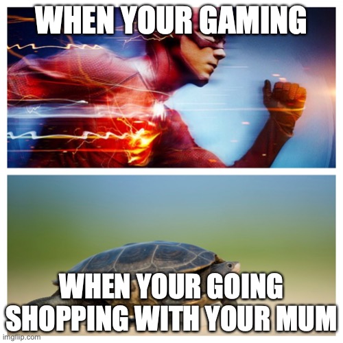 QWA | WHEN YOUR GAMING; WHEN YOUR GOING SHOPPING WITH YOUR MUM | image tagged in fast vs slow | made w/ Imgflip meme maker
