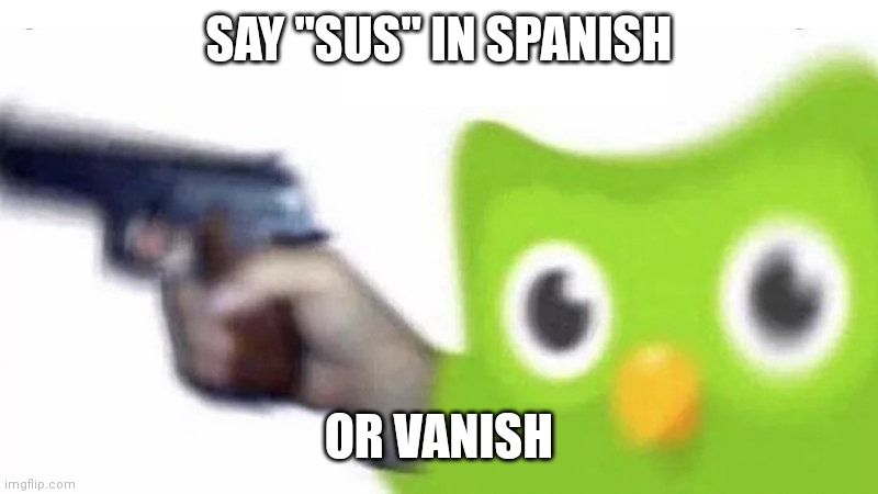 duolingo gun | SAY "SUS" IN SPANISH; OR VANISH | image tagged in duolingo gun | made w/ Imgflip meme maker