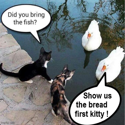 The deal goes down ! | Show us
the bread    
first kitty ! | image tagged in deal | made w/ Imgflip meme maker