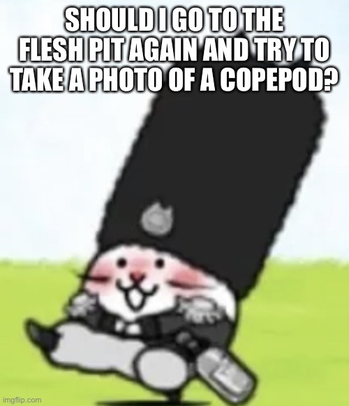 Vodka cat | SHOULD I GO TO THE FLESH PIT AGAIN AND TRY TO TAKE A PHOTO OF A COPEPOD? | image tagged in vodka cat | made w/ Imgflip meme maker