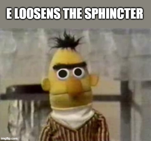 bert muppet what did i just see | E LOOSENS THE SPHINCTER | image tagged in bert muppet what did i just see | made w/ Imgflip meme maker