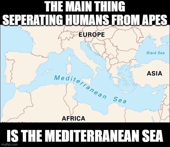 How Euro Trash | THE MAIN THING SEPERATING HUMANS FROM APES; IS THE MEDITERRANEAN SEA | image tagged in dark humor | made w/ Imgflip meme maker