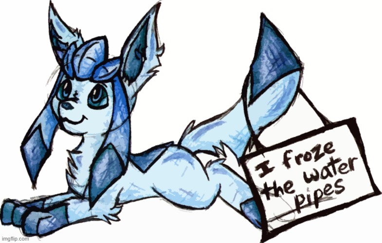 Glaceon no | image tagged in glaceon,pokemon shaming | made w/ Imgflip meme maker
