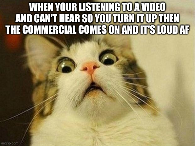 Scared Cat Meme | WHEN YOUR LISTENING TO A VIDEO AND CAN'T HEAR SO YOU TURN IT UP THEN THE COMMERCIAL COMES ON AND IT'S LOUD AF | image tagged in memes,scared cat | made w/ Imgflip meme maker