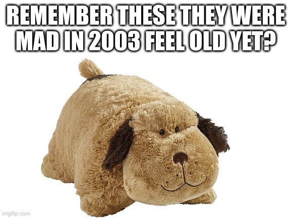 REMEMBER THESE THEY WERE MAD IN 2003 FEEL OLD YET? | image tagged in feel old yet | made w/ Imgflip meme maker