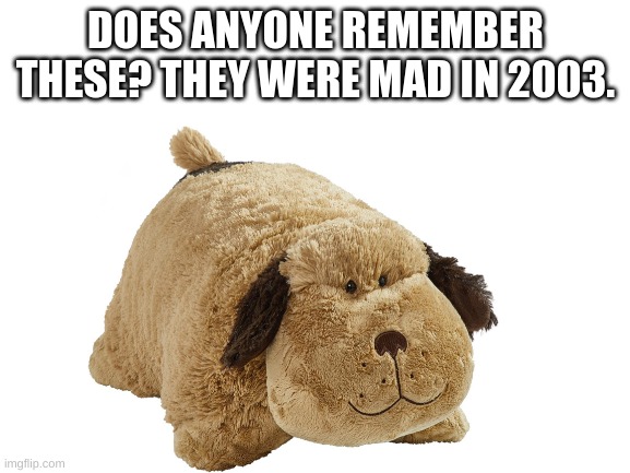 remember this? | DOES ANYONE REMEMBER THESE? THEY WERE MAD IN 2003. | image tagged in pillow pets | made w/ Imgflip meme maker