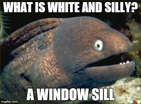 Bad Joke Eel Meme | WHAT IS WHITE AND SILLY? A WINDOW SILL | image tagged in memes,bad joke eel | made w/ Imgflip meme maker
