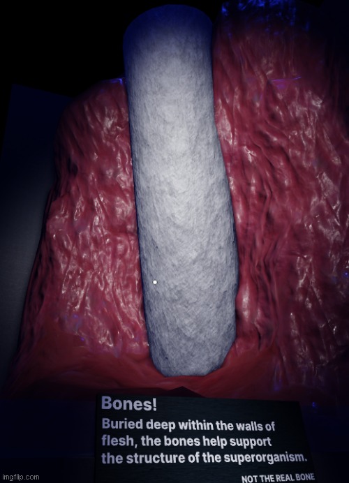 NOTE: Not the real bone. | image tagged in vietnamballs mystery flesh pit adventure | made w/ Imgflip meme maker