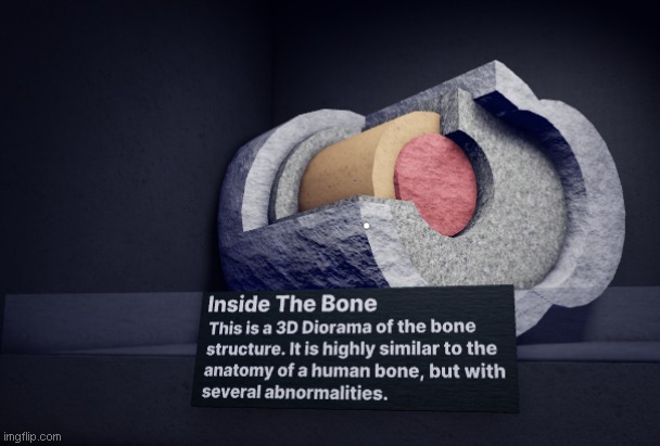 The insides of a bone. | image tagged in vietnamballs mystery flesh pit adventure | made w/ Imgflip meme maker