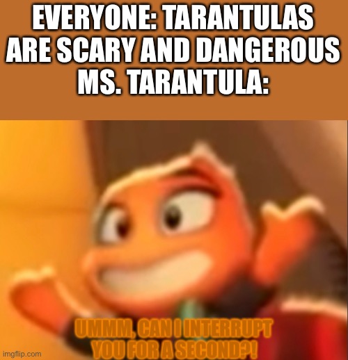 Can you plz agree | EVERYONE: TARANTULAS ARE SCARY AND DANGEROUS
MS. TARANTULA: | image tagged in ms tarantula is confused of your actions,confused,memes,funny,hehehe | made w/ Imgflip meme maker