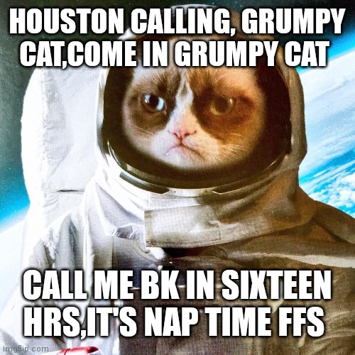 Grumpy Interstellar Astronaut | HOUSTON CALLING, GRUMPY CAT,COME IN GRUMPY CAT; CALL ME BK IN SIXTEEN HRS,IT'S NAP TIME FFS | image tagged in grumpy interstellar astronaut | made w/ Imgflip meme maker