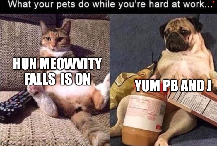 When your not home 2 | YUM PB AND J; HUN MEOWVITY FALLS  IS ON | image tagged in memes | made w/ Imgflip meme maker