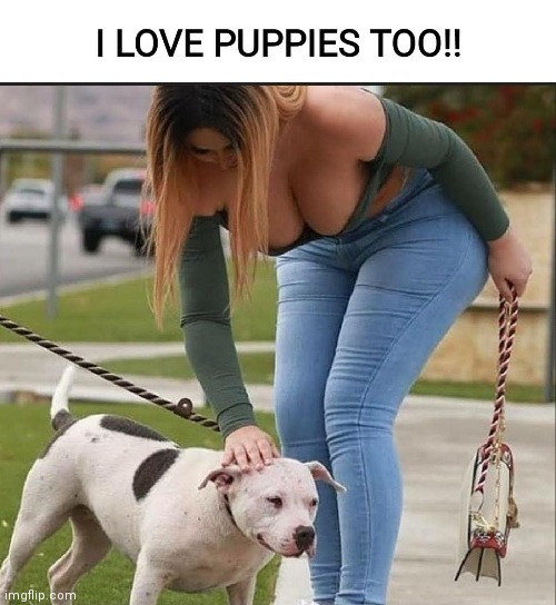 Nice puppy | image tagged in love,puppy,sweet | made w/ Imgflip meme maker