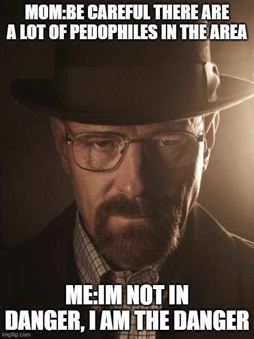 Walter White | MOM:BE CAREFUL THERE ARE A LOT OF PEDOPHILES IN THE AREA; ME:IM NOT IN DANGER, I AM THE DANGER | image tagged in walter white | made w/ Imgflip meme maker