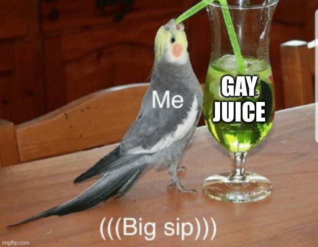 Unsee juice | GAY JUICE | image tagged in unsee juice | made w/ Imgflip meme maker