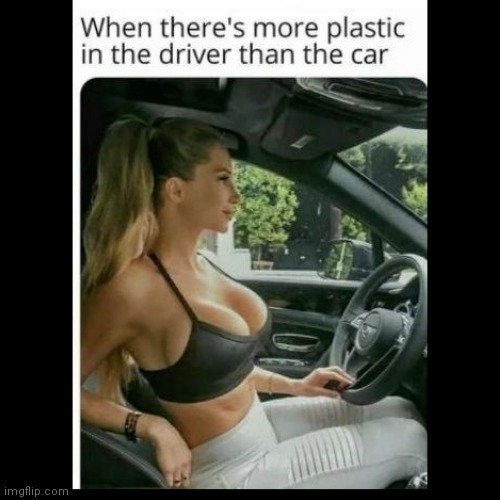 Nice seat covers | image tagged in fun,driver | made w/ Imgflip meme maker