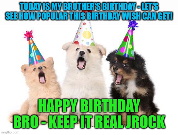 Upvote his birthday wish!!! | TODAY IS MY BROTHER'S BIRTHDAY - LET'S SEE HOW POPULAR THIS BIRTHDAY WISH CAN GET! HAPPY BIRTHDAY BRO - KEEP IT REAL JROCK | image tagged in happy birthday puppies | made w/ Imgflip meme maker