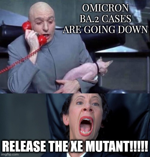 Ah, Cripe! COVID is summoning even more Mutations, Variants, Subvariants and Recombinants! and IT'S GOING DEADLY BALLISTIC!!!!!  | OMICRON BA.2 CASES ARE GOING DOWN; RELEASE THE XE MUTANT!!!!! | image tagged in dr evil and frau,coronavirus,covid-19,xe,variants,panic overload | made w/ Imgflip meme maker
