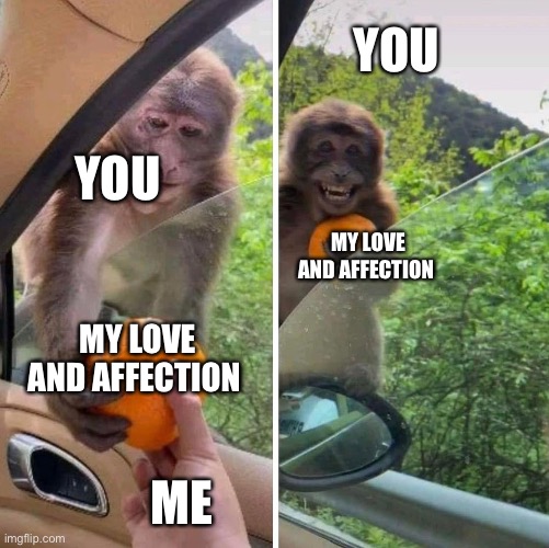 Thanx u | YOU; YOU; MY LOVE AND AFFECTION; MY LOVE AND AFFECTION; ME | image tagged in monkey getting an orange,wholesome | made w/ Imgflip meme maker