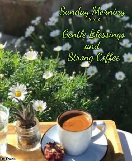 Sunday Morning | Sunday Morning 
***
Gentle Blessings
and 
Strong Coffee | image tagged in sunday coffee,sunday blessings,sunday coffee and garden | made w/ Imgflip meme maker