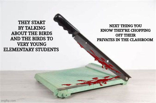 Demophiles loveses the childrenses | NEXT THING YOU KNOW THEY'RE CHOPPING OFF THEIR PRIVATES IN THE CLASSROOM; THEY START BY TALKING ABOUT THE BIRDS AND THE BIRDS TO VERY YOUNG ELEMENTARY STUDENTS | image tagged in budget cuts,sick people | made w/ Imgflip meme maker