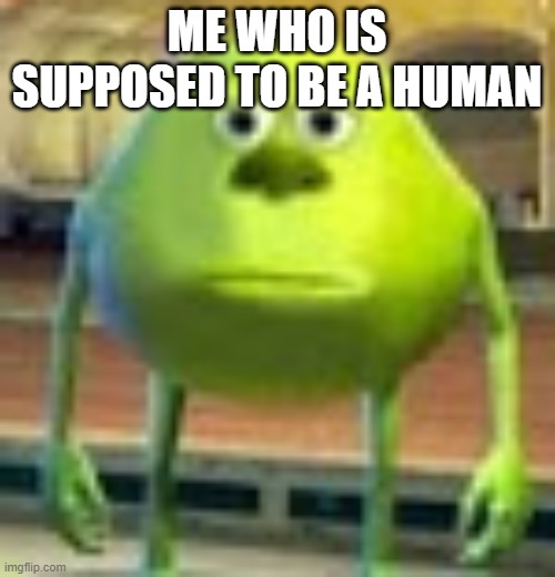Sully Wazowski | ME WHO IS SUPPOSED TO BE A HUMAN | image tagged in sully wazowski | made w/ Imgflip meme maker